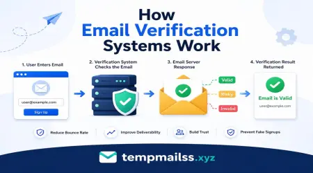 How Email Verification Systems Work